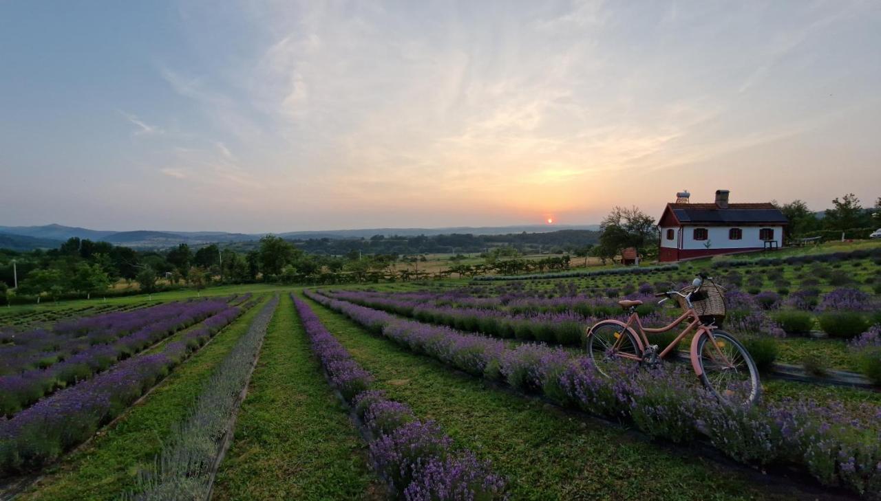 Lavanda Carasova Crasova Экстерьер фото