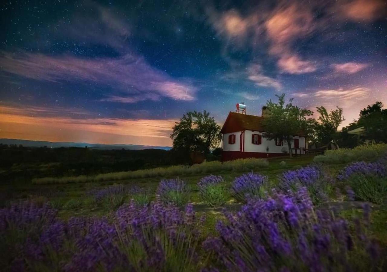 Lavanda Carasova Crasova Экстерьер фото